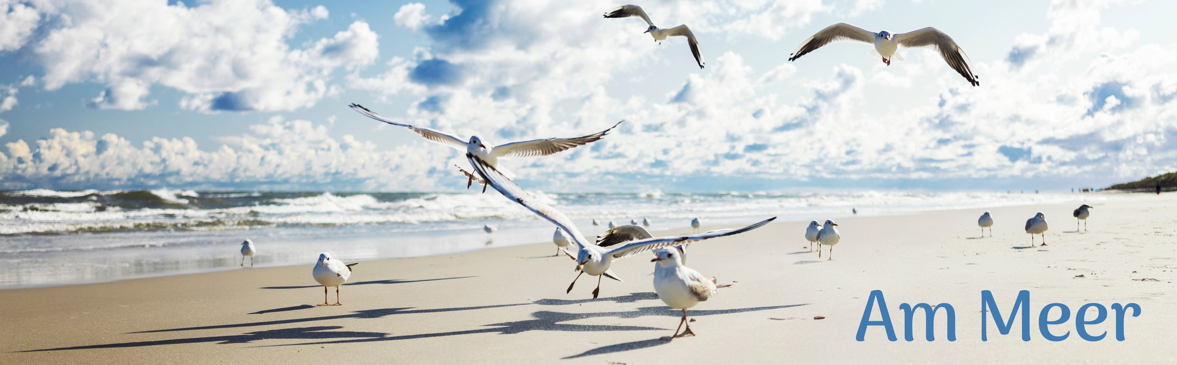 Nordsee Ostsee Strandhaus Look Teppiche