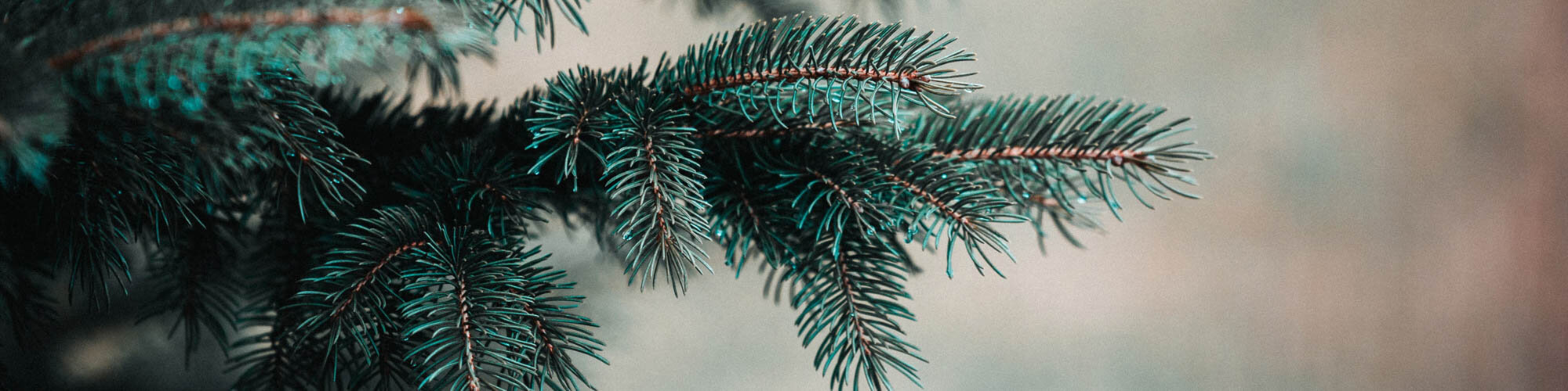 Farbwirkung