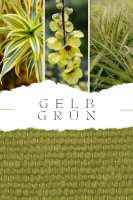 Schafwollteppich Gelbgrün