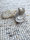 Schafwollteppich Muschel-Gitter Graubunt mit Moorschnucke 180 x 260 cm