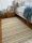 100 x 245 cm - Schafwollteppich Düne in dick Weite-Bindung
