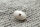 Metall Knopf Schildart
