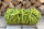 Filzschnur Limette