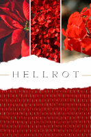 Schafwollteppich Hellrot